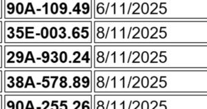 Avatar1763565937909 17635659384022019801121