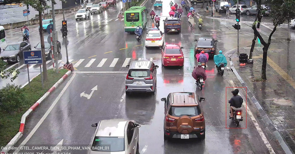 Avatar1763566063538 1763566063798499933971