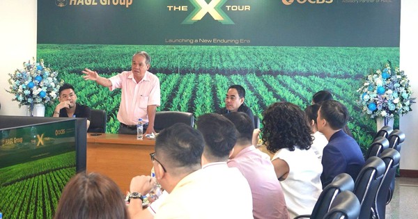 Avatar1763603069416 176360307025744955763