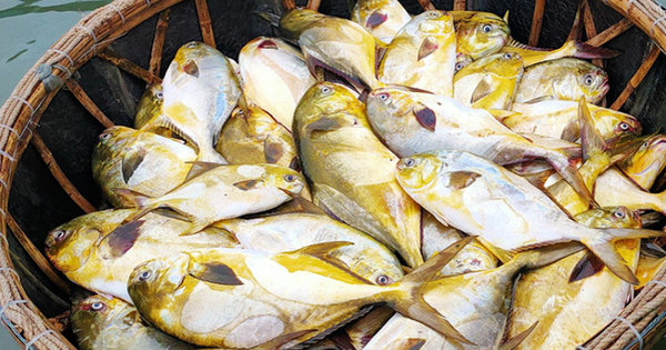 Avatar1763624055621 1763624056180832271286