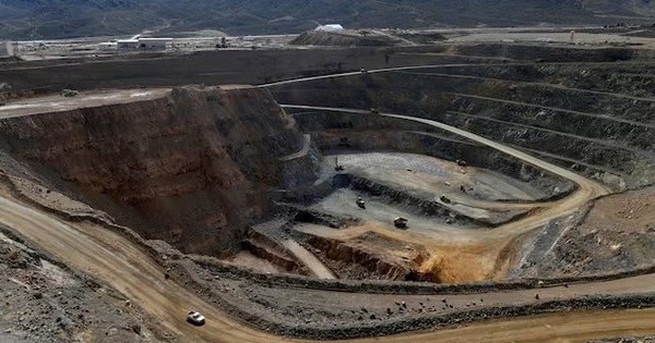 Avatar1763630868560 17636308688511934643035 70 0 405 640 Crop 17636308875351188371813