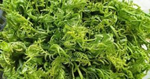 Avatar1763630870330 17636308710101742286585 230 0 795 1080 Crop 17636310230881599941319