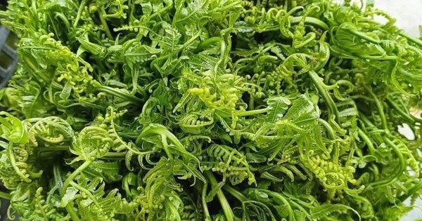 Avatar1763630870330 17636308710101742286585 230 0 795 1080 Crop 17636310230881599941319