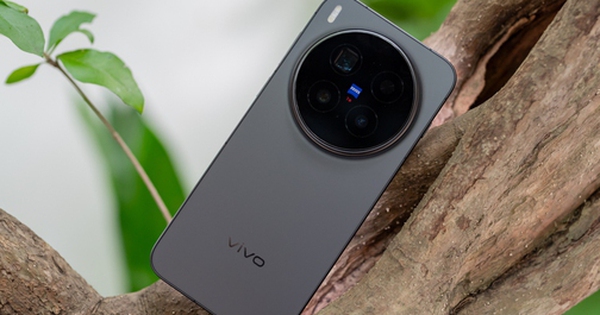 Avatar1763631694577 17636316955911174333328 0 24 315 528 Crop 1763632018437393485304