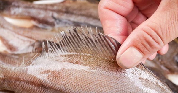 Avatar1763640630360 17636406307171671632897 0 0 314 600 Crop 1763640700251283866367