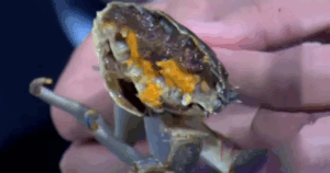 Avatar1763647859873 17636478605261529019972