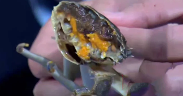 Avatar1763647859873 17636478605261529019972