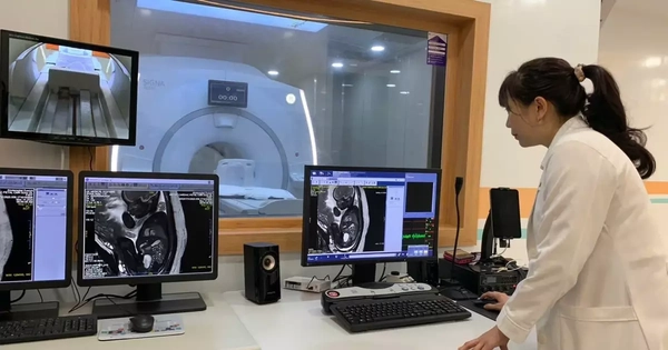 Avatar1763686510565 17636865110021025491656.Webp