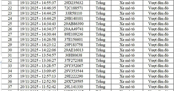 Avatar1763708858891 17637088592701976553438 0 0 399 762 Crop 17637089098611461148825