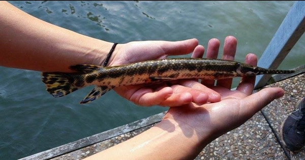 Avatar1763709327417 17637093286131977428061 0 0 502 960 Crop 17637097904541196097572