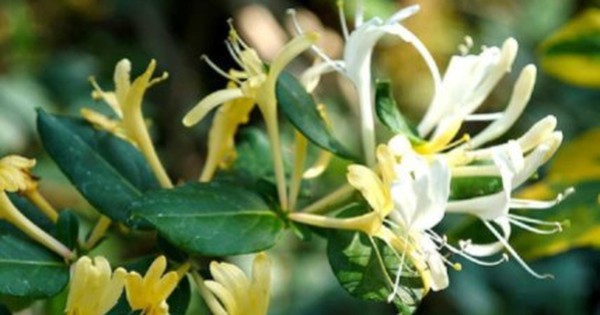 Avatar1763770921233 1763770921530891843977 0 112 268 540 Crop 176377094621882251285