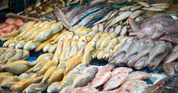 Avatar1763787900601 17637879011341026779381