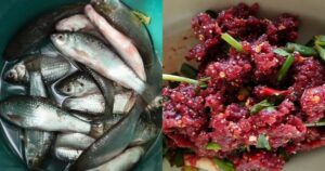 Avatar1763816277537 1763816278030870437811 0 0 838 1600 Crop 176386636512524669014