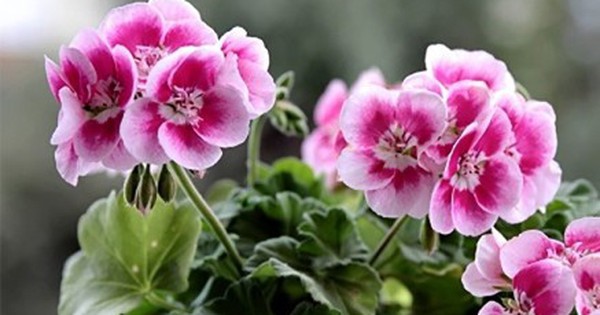 Avatar1763892378180 17638923784661276971849 0 0 273 437 Crop 1763892408150989483446