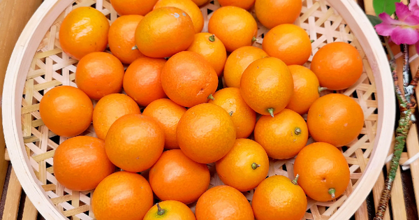 Avatar1763892644977 17638926454912078540334