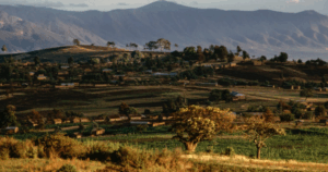 Avatar1763954310629 1763954311115520119445 185 0 977 1513 Crop 17639543635621450801192