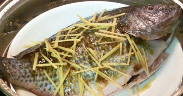 Avatar1763958795367 176395879593722668945