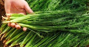 Avatar1763958939335 17639589398691004243889