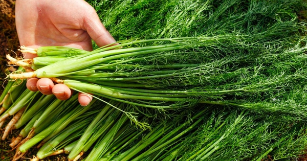 Avatar1763958939335 17639589398691004243889