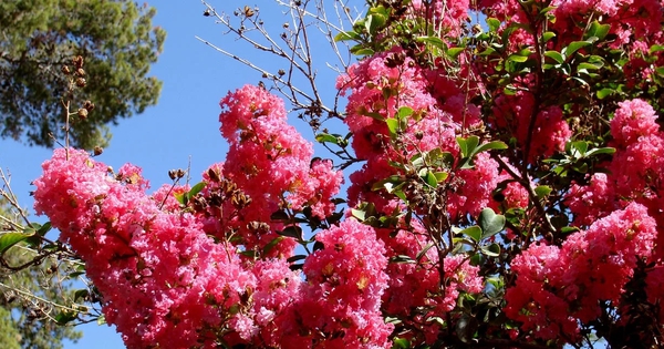 Avatar1763966863164 1763966863998138605861 0 0 641 1224 Crop 17639670000801593625582