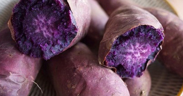 Avatar1763969199845 1763969200350294798168