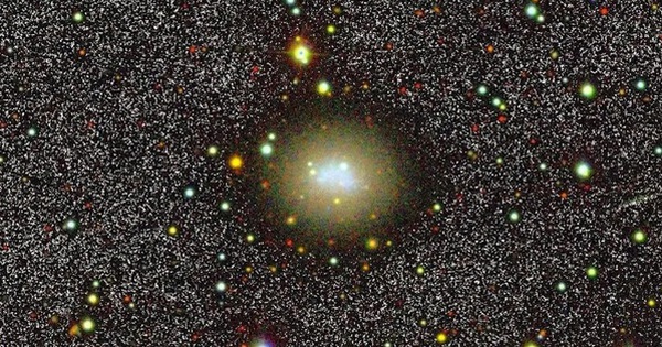 Avatar1763971561443 17639715619871663312673 0 0 314 600 Crop 1763971590257550133290