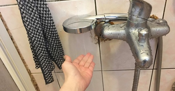 Avatar1763975669135 17639756700162001754137