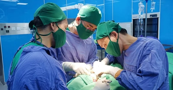 Avatar1763985715634 17639857162201555374516.Webp