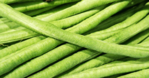 Avatar1764025979641 1764025980314491718388