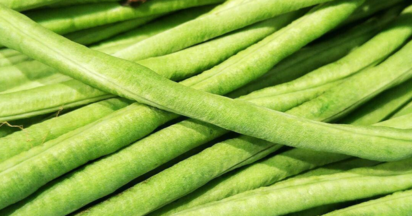 Avatar1764025979641 1764025980314491718388