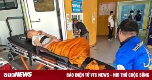 Avatar1764046774691 1764046775020371193350