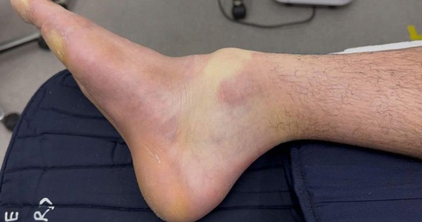 Avatar1764076866741 1764076867255947385724