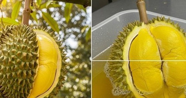 Avatar1764123320035 1764123320540881700913 0 93 263 514 Crop 17641233259761670624120