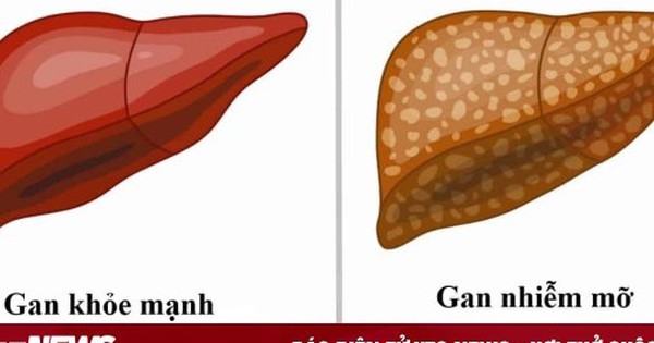 Avatar1764123460354 17641234606701740631156 0 38 315 542 Crop 1764123482811494853168