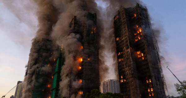 Avatar1764198789744 17641987902032126977282