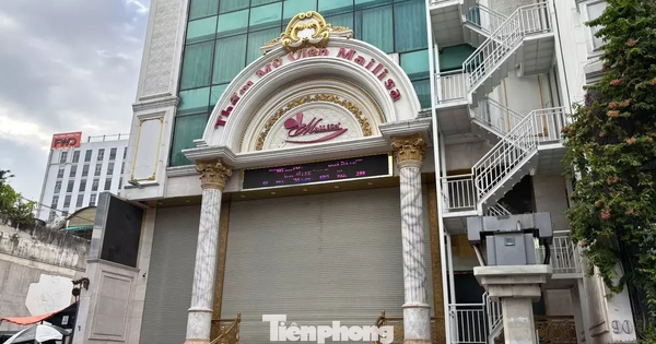 Avatar1764209035594 17642090365121784928776.Webp