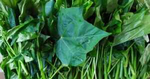 Avatar1764219151363 17642191515641759969773