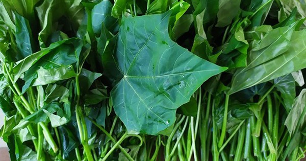 Avatar1764219151363 17642191515641759969773