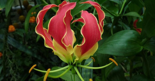 Avatar1764227531840 176422753229935439789