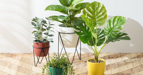 Avatar1764317872098 17643178733841269232432