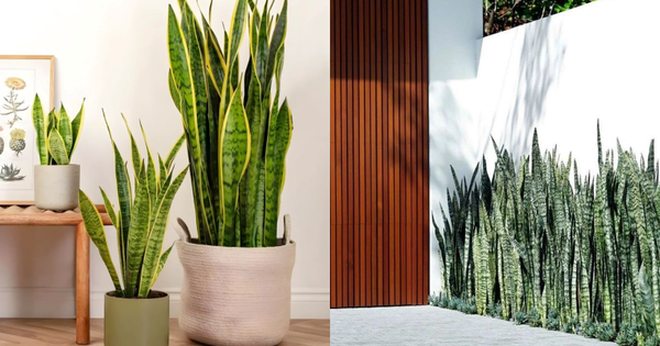 Avatar1764338710677 17643387111571939776147