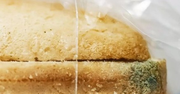 Avatar1764378979045 1764378979668857495682 0 0 274 438 Crop 1764379000036455475733