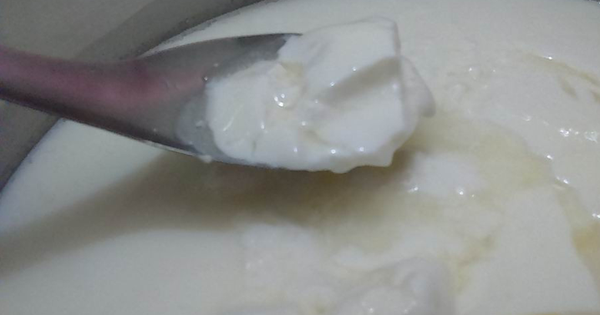 Avatar1764419702473 1764419703145816120740