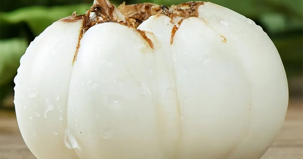 Avatar1764500133403 17645001336952008189700