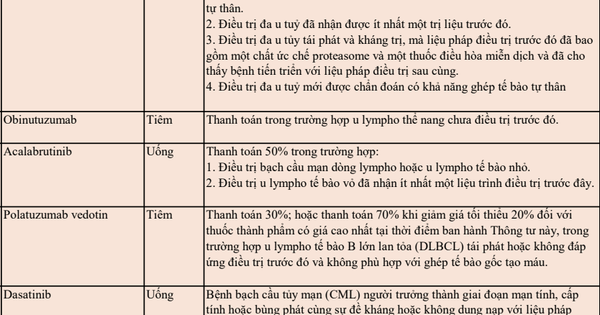 Avatar1764500226135 17645002268181333722844