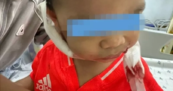 Avatar1764551114076 17645511147641631523502.Webp