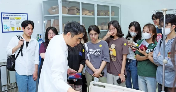 Avatar1764551221561 1764551221860510357550.Webp