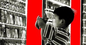 Avatar1764561732790 17645617334782038406061