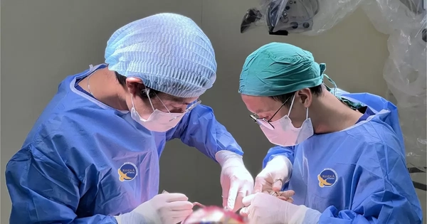 Avatar1764569283794 17645692842651417645511.Webp