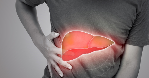 Avatar1764569389404 17645693897749123039